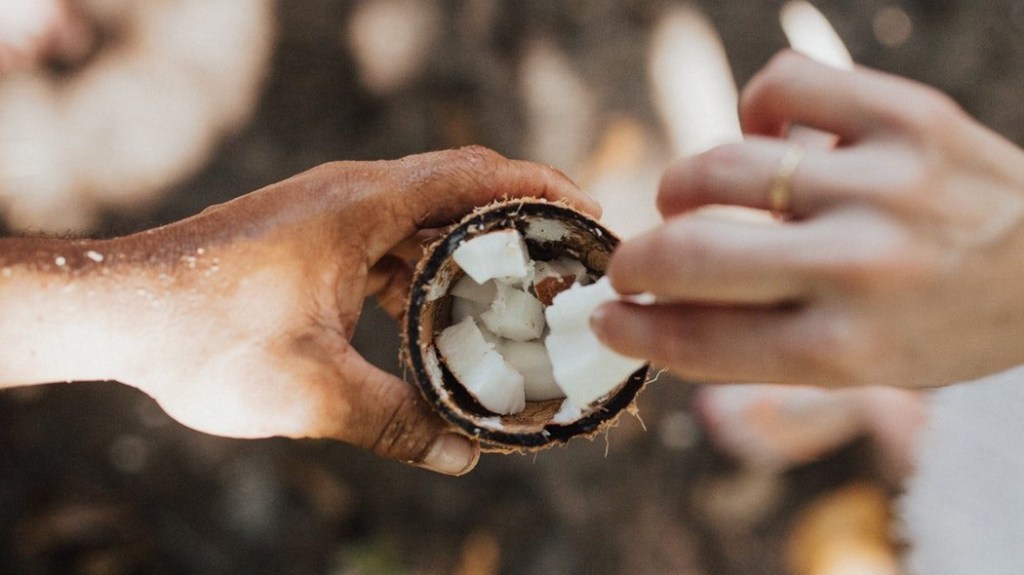 Coconut Oil: An&nbsp;Overview